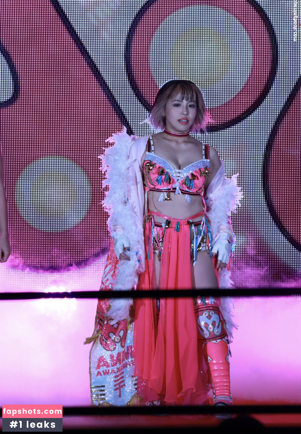 Mina Shirakawa gallery photo #608