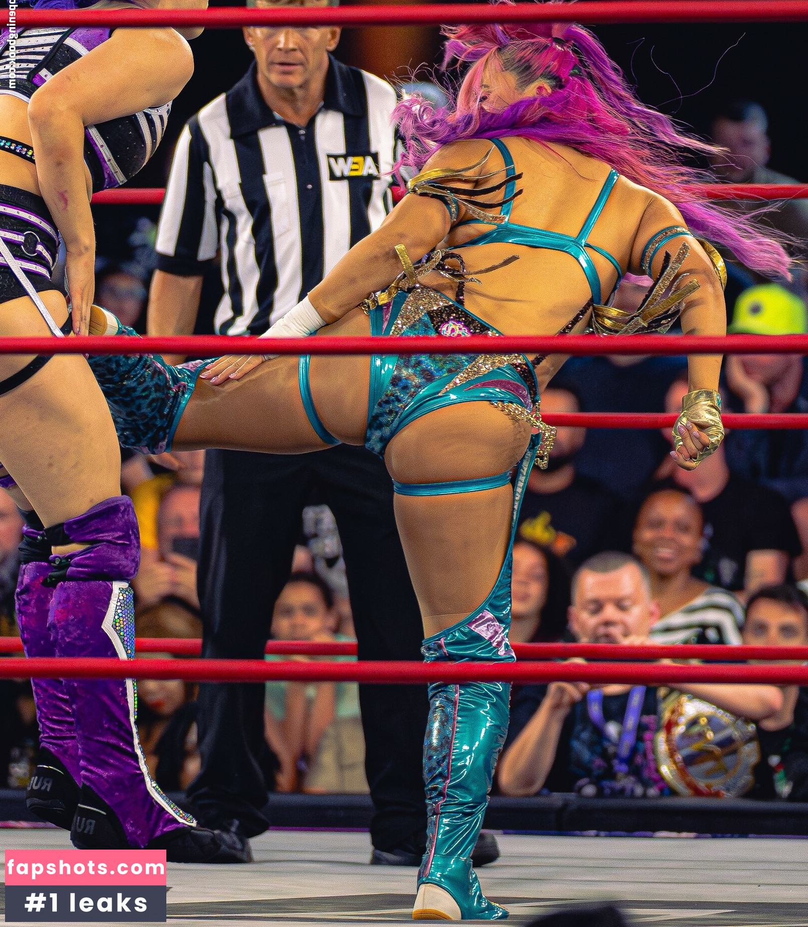 Mina Shirakawa gallery photo #64