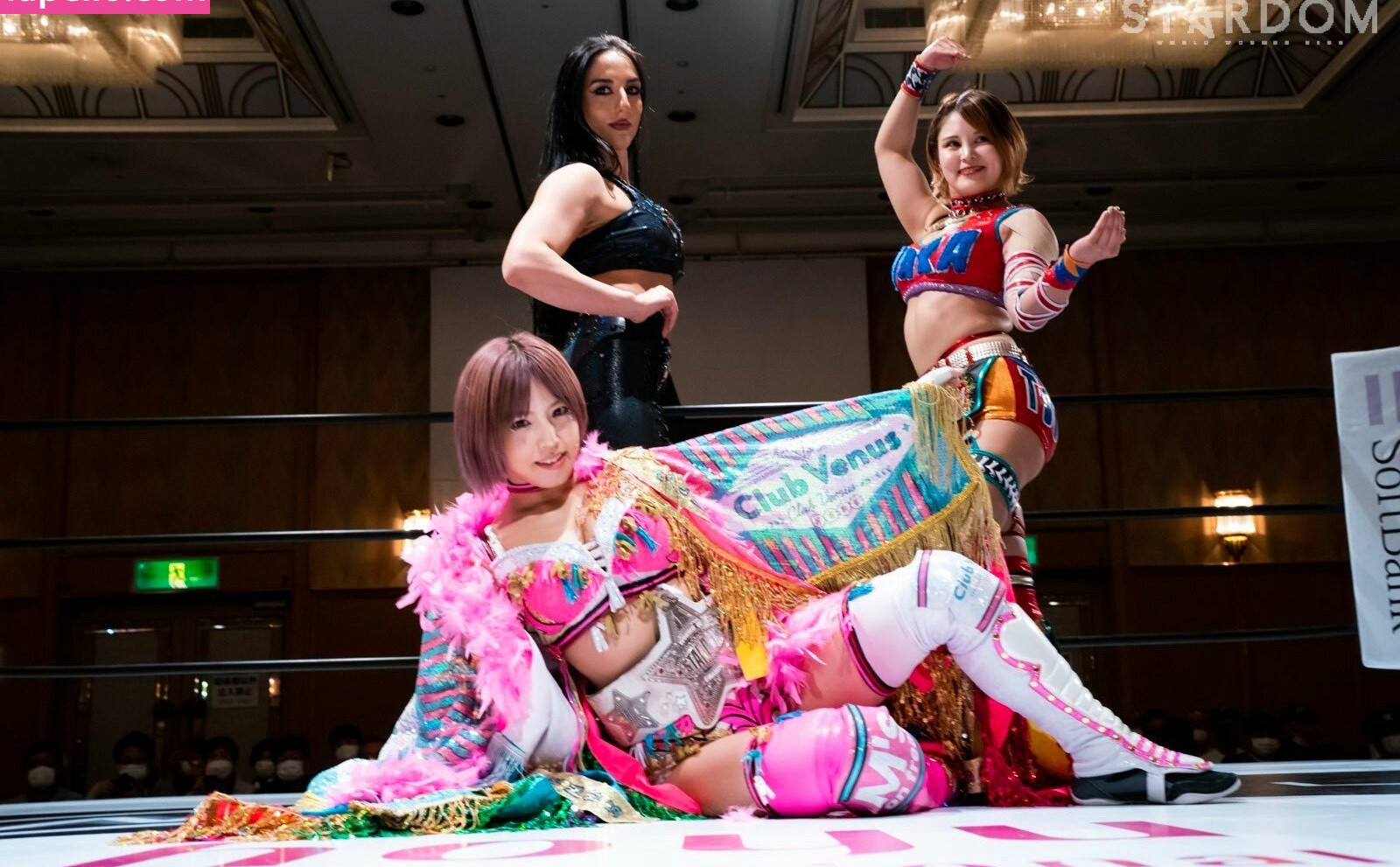 mina-shirakawa gallery photo #577