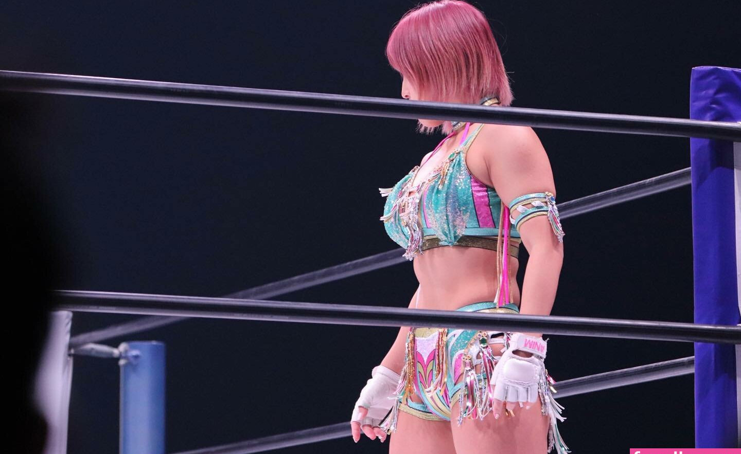 mina-shirakawa gallery photo #633