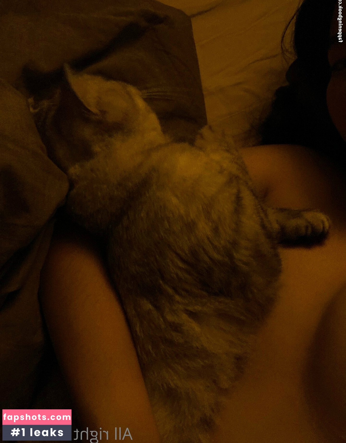 minepublic gallery photo #4