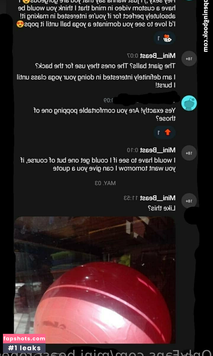 mini.beast.ropes gallery photo #10