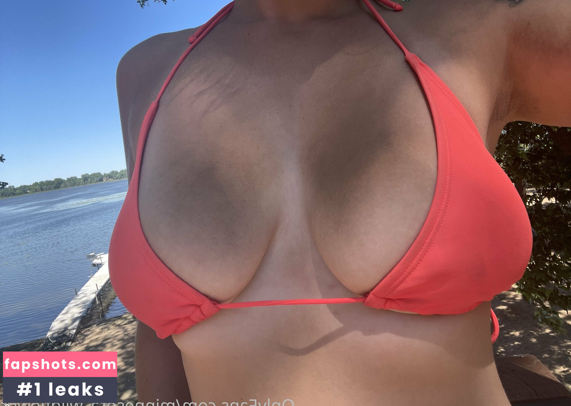 minnesota_wildflower gallery photo #4