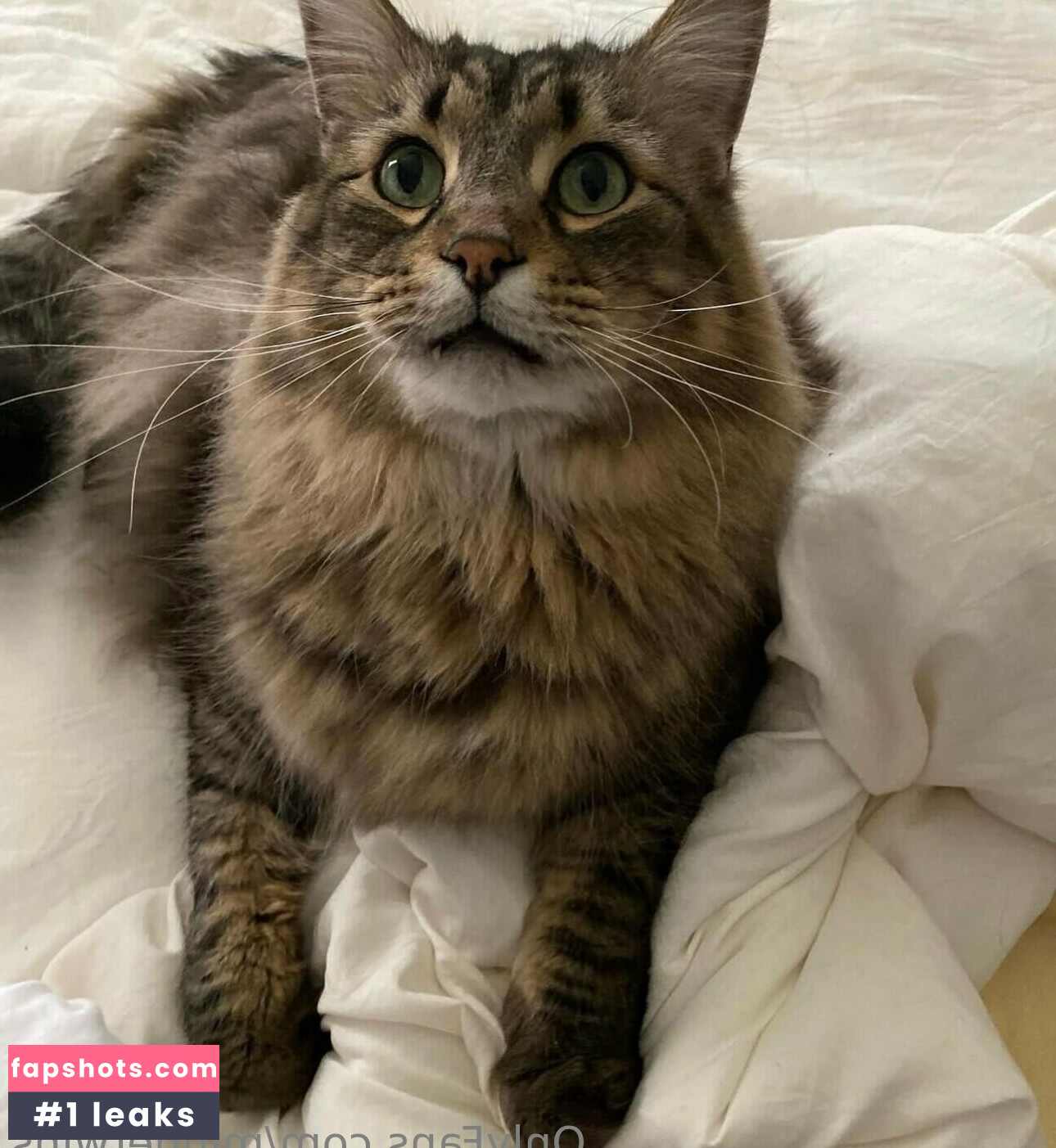 MinneTwins Nahé úniky fotek pouze od fanoušků #44 - Fapshots