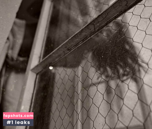 Mira gallery photo #838