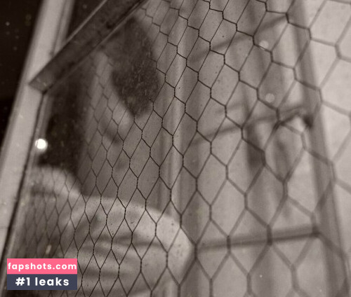 Mira gallery photo #842