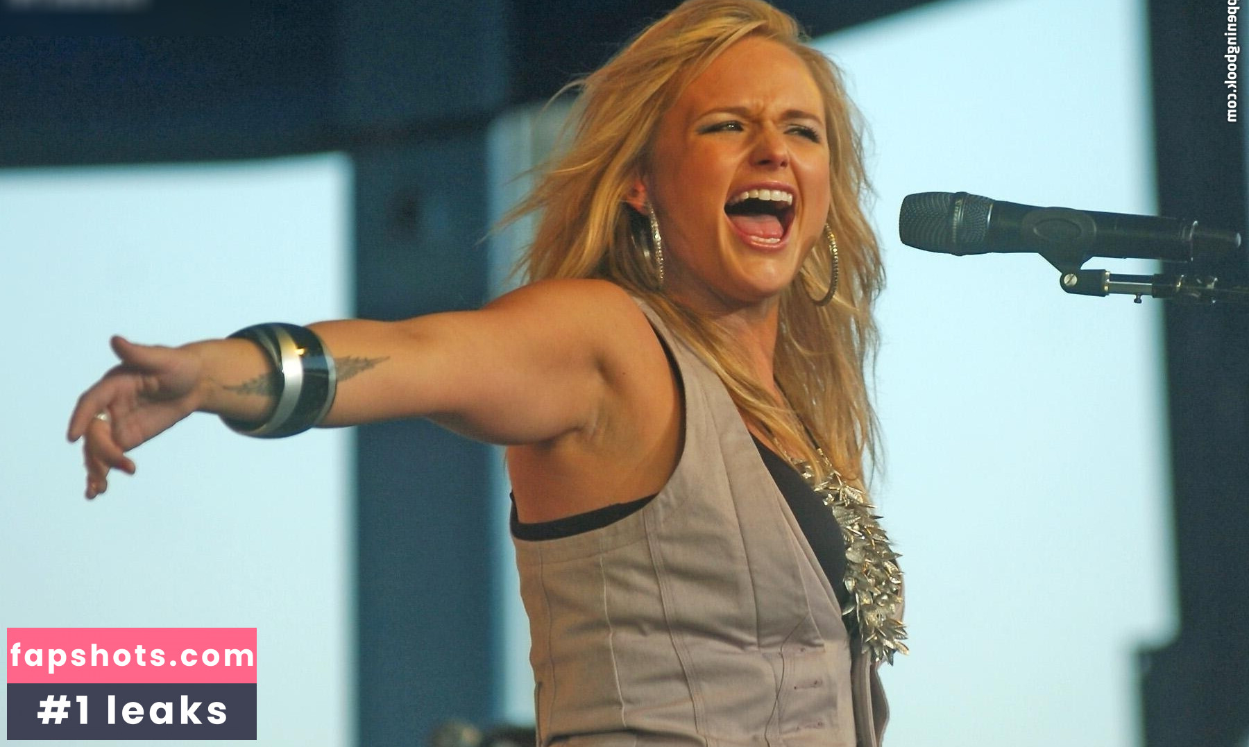 Miranda Lambert gallery photo #28