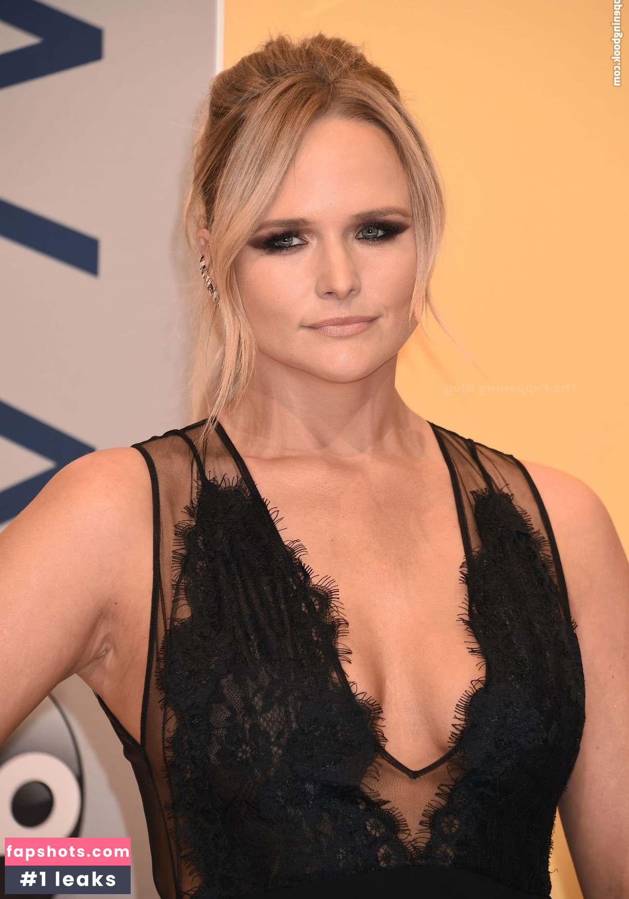 Miranda Lambert gallery photo #62