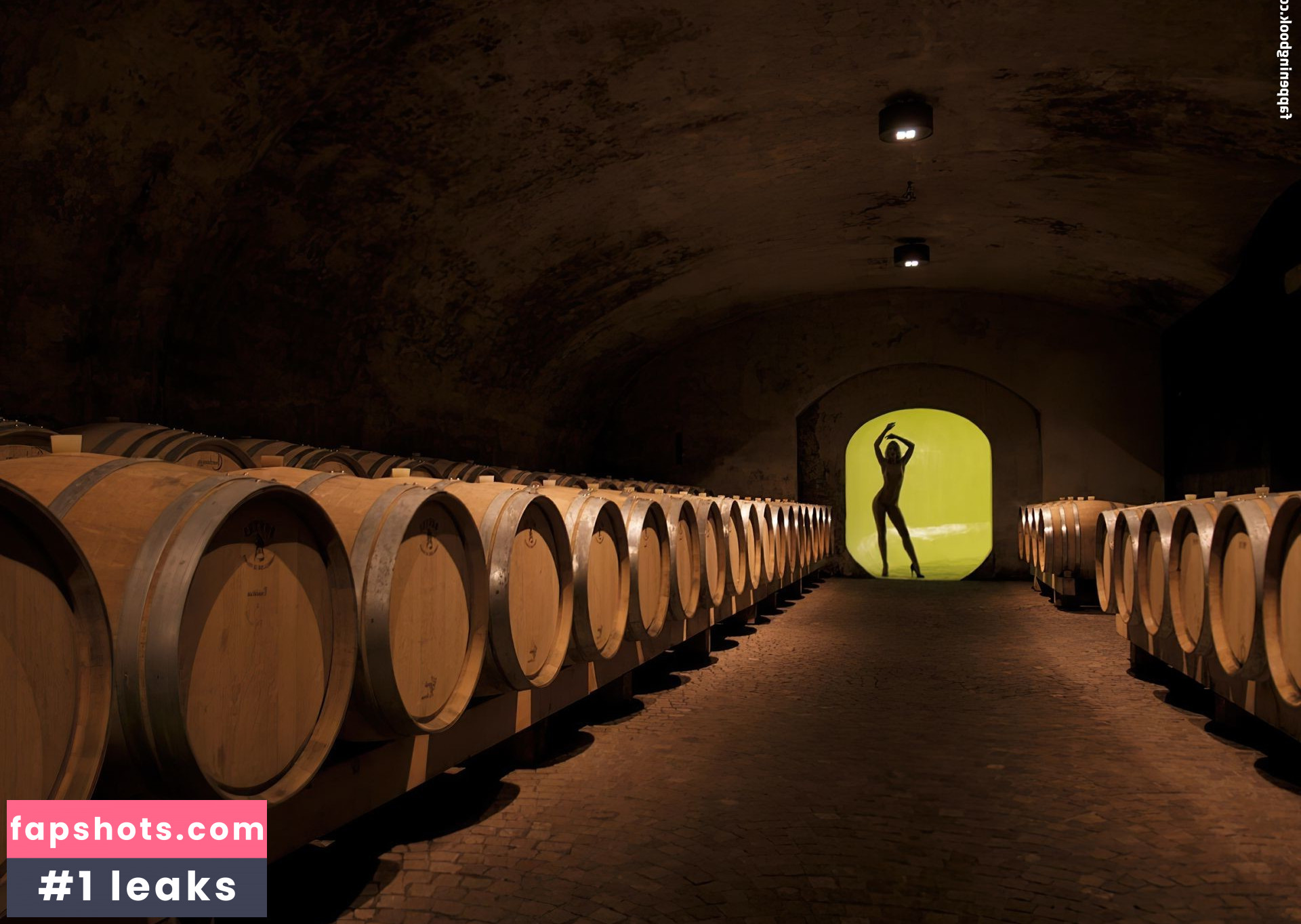 Miriam Schwarz Nahé úniky fotek pouze od fanoušků #36 - Fapshots