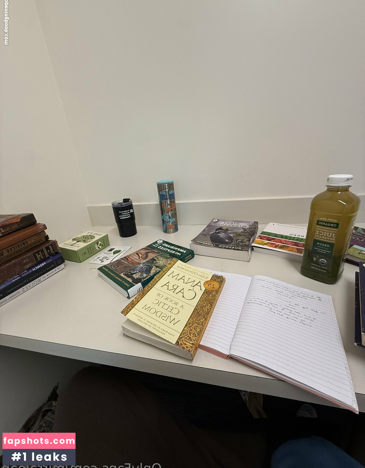 mirrajean Nahé úniky fotek pouze od fanoušků #13 - Fapshots