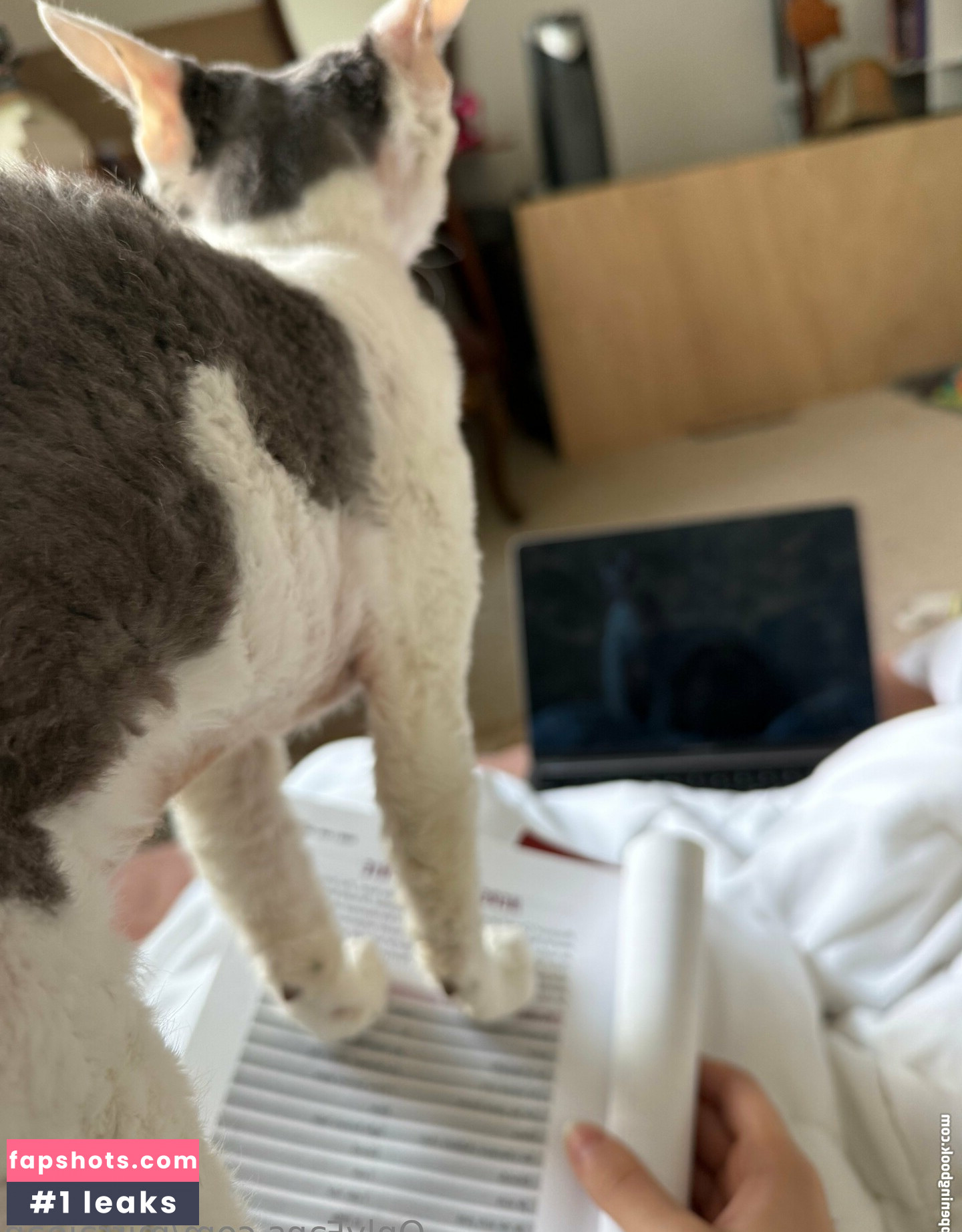 mirrajean Nude Leaks OnlyFans Photos #20 - LeakJerk