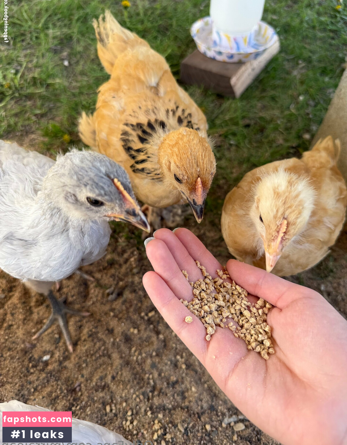 mirrajean Nude Leaks OnlyFans Photos #25 - LeakJerk