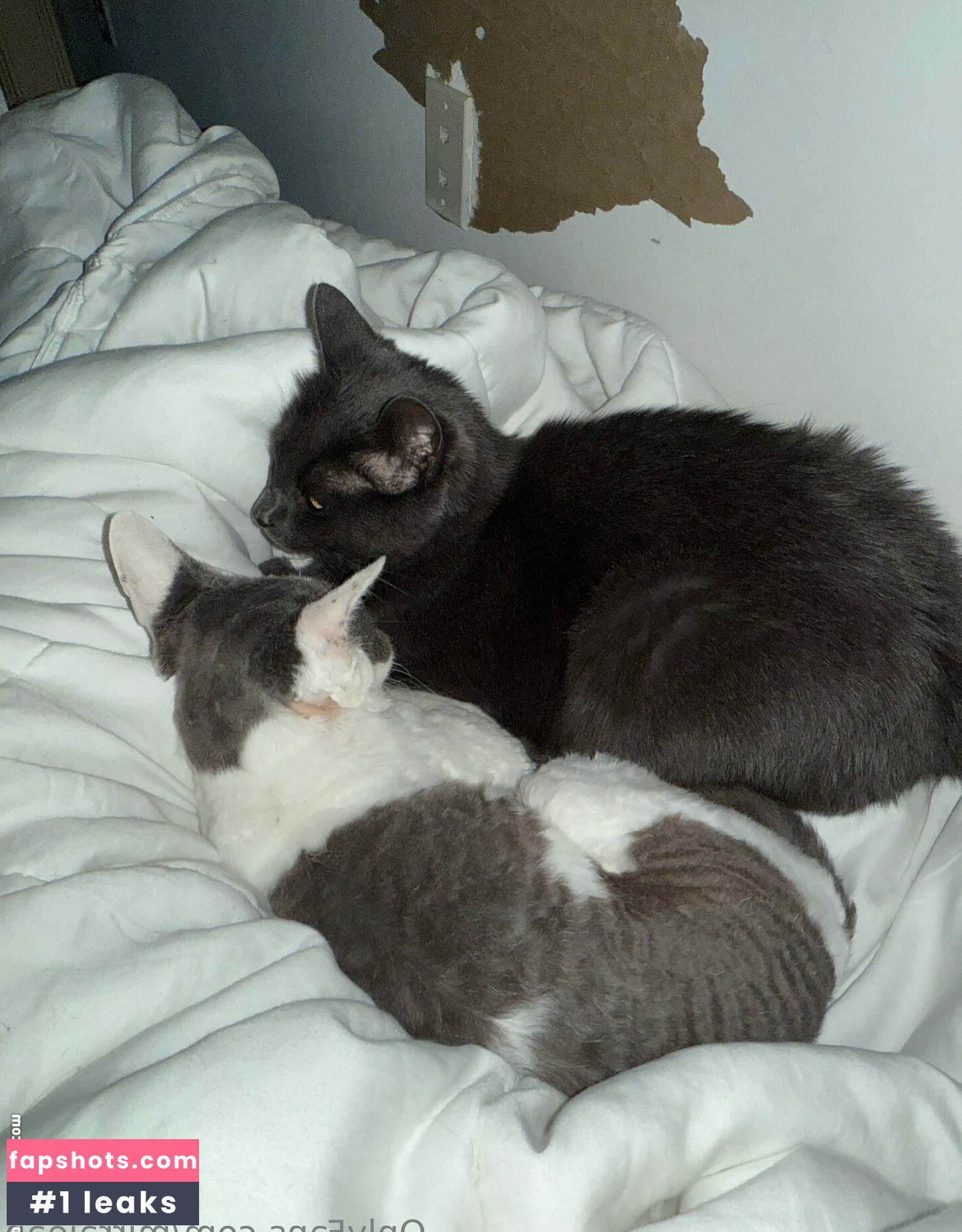 mirrajean Nahé úniky fotek pouze od fanoušků #10 - Fapshots