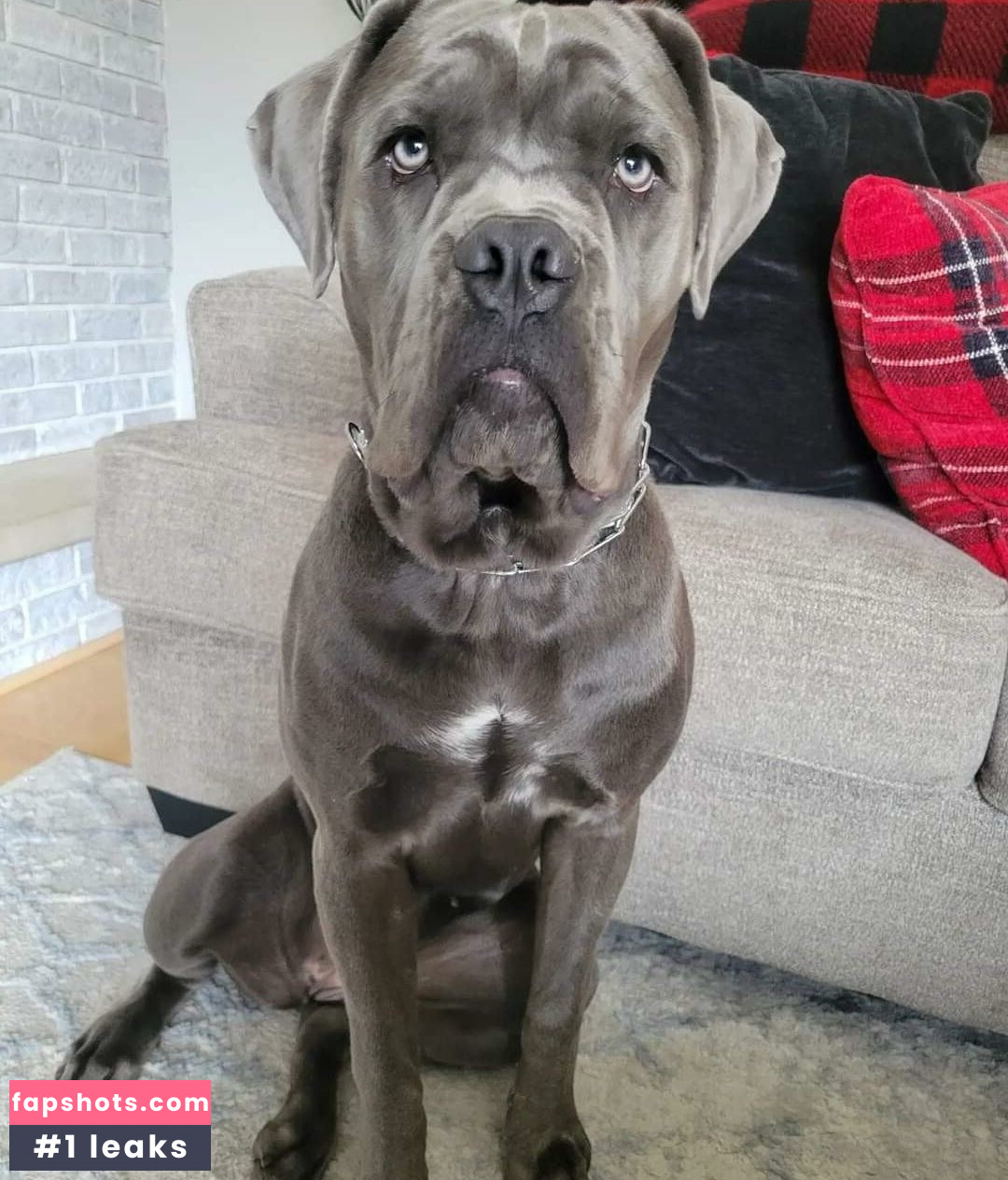 Miss Jee Yung gallery photo #17