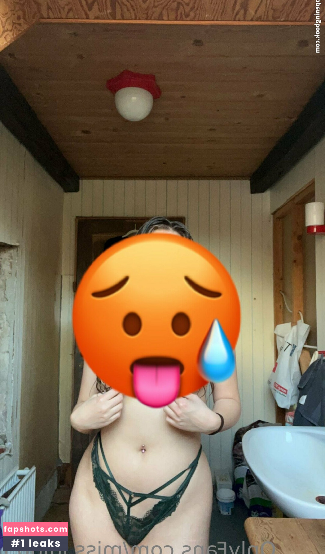 miss.lulu03 Nude Leaks OnlyFans Photos #22 - LeakJerk