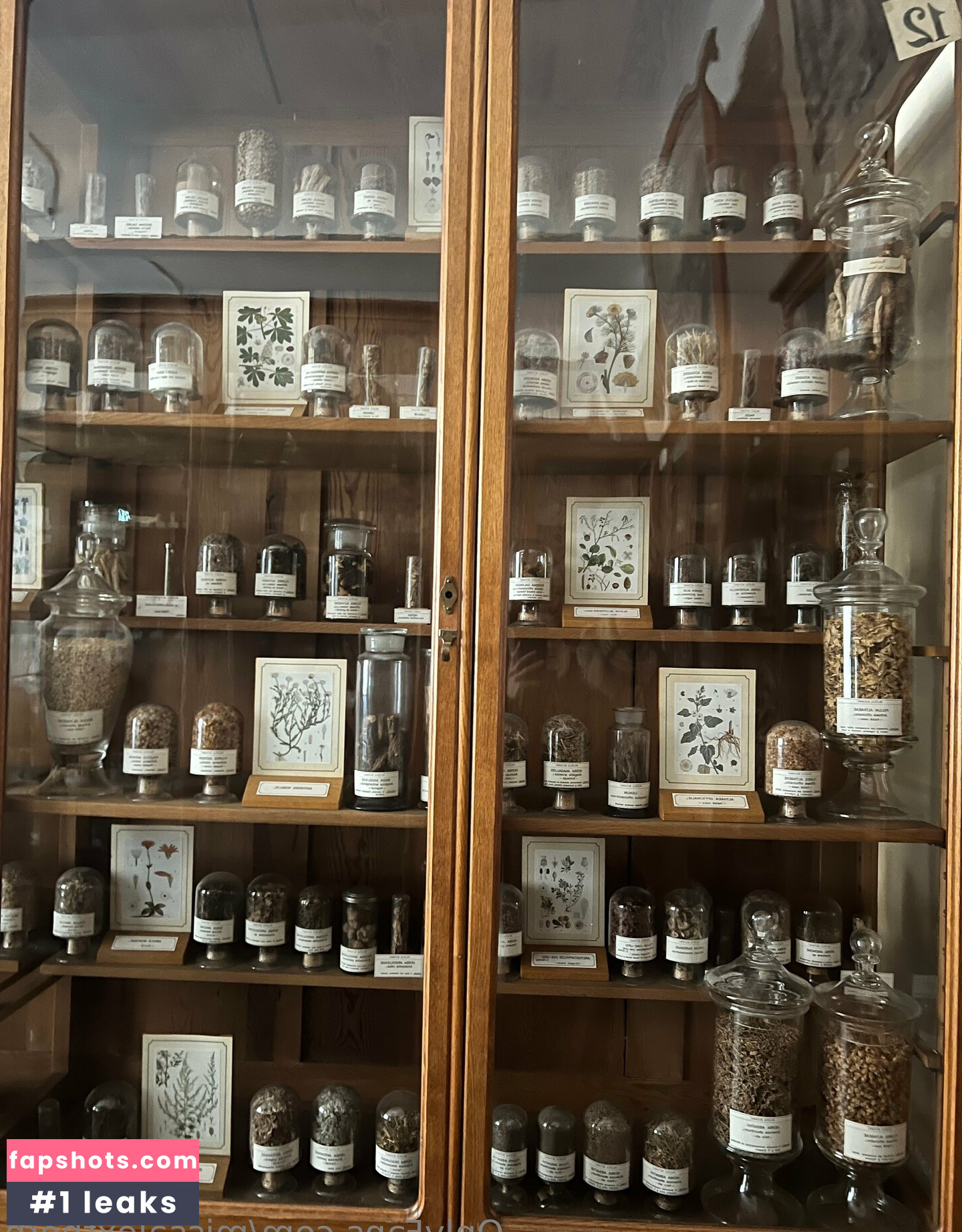 missalexthorn gallery photo #2