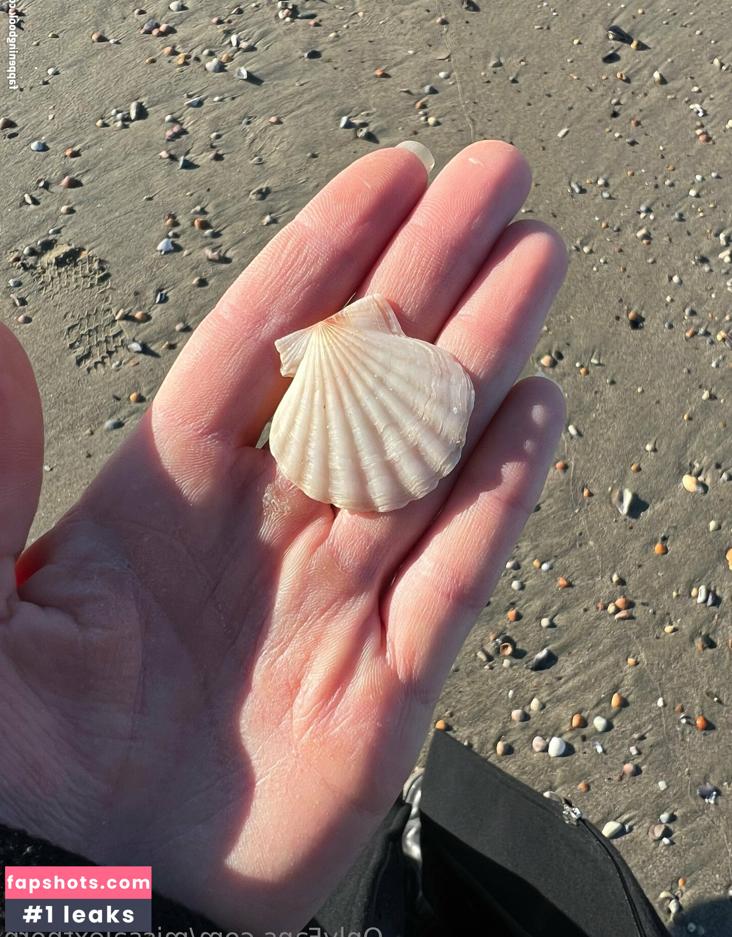 missalexthorn gallery photo #16