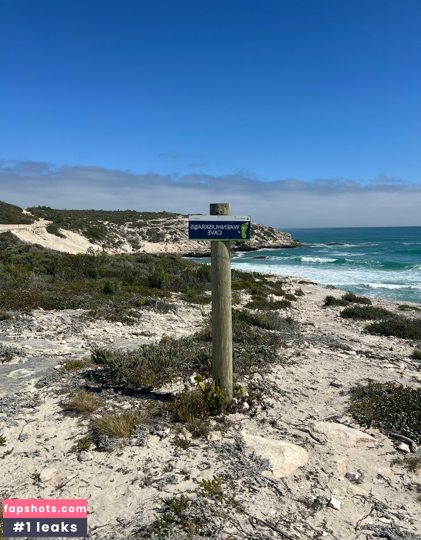 missalexthorn gallery photo #17