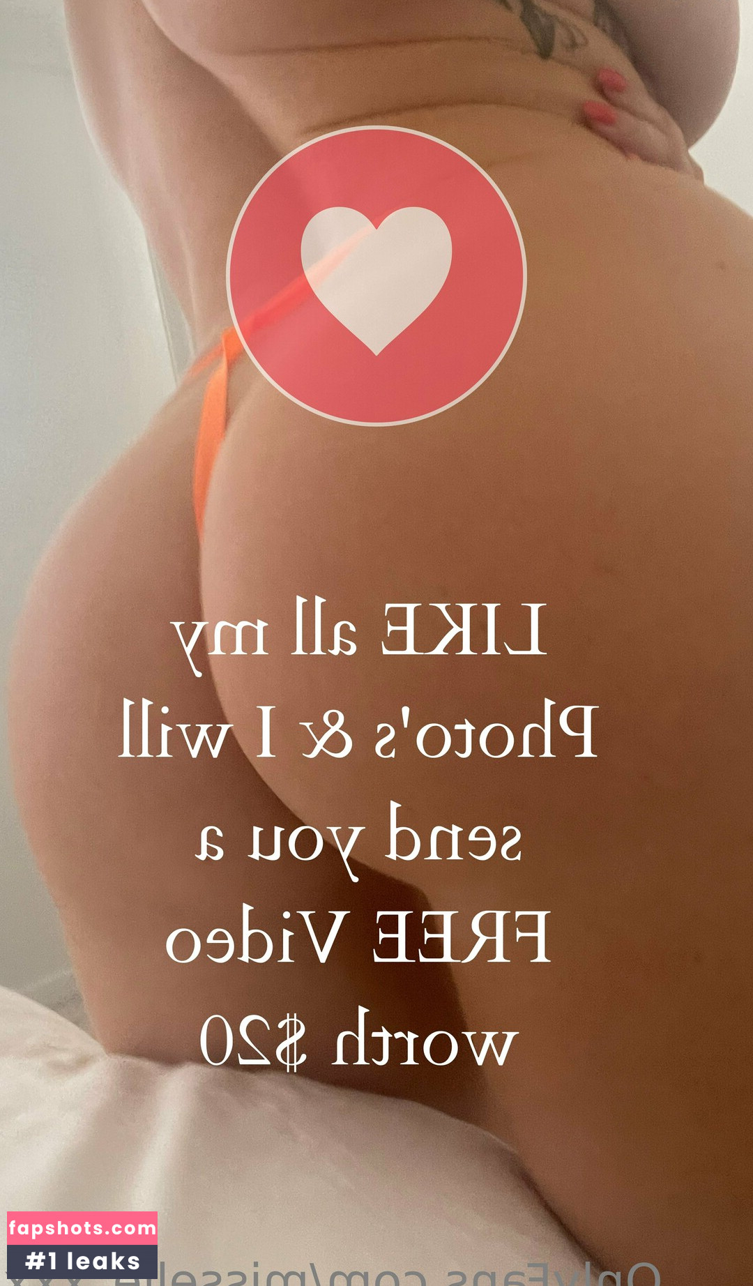 misselle_xxx gallery photo #31