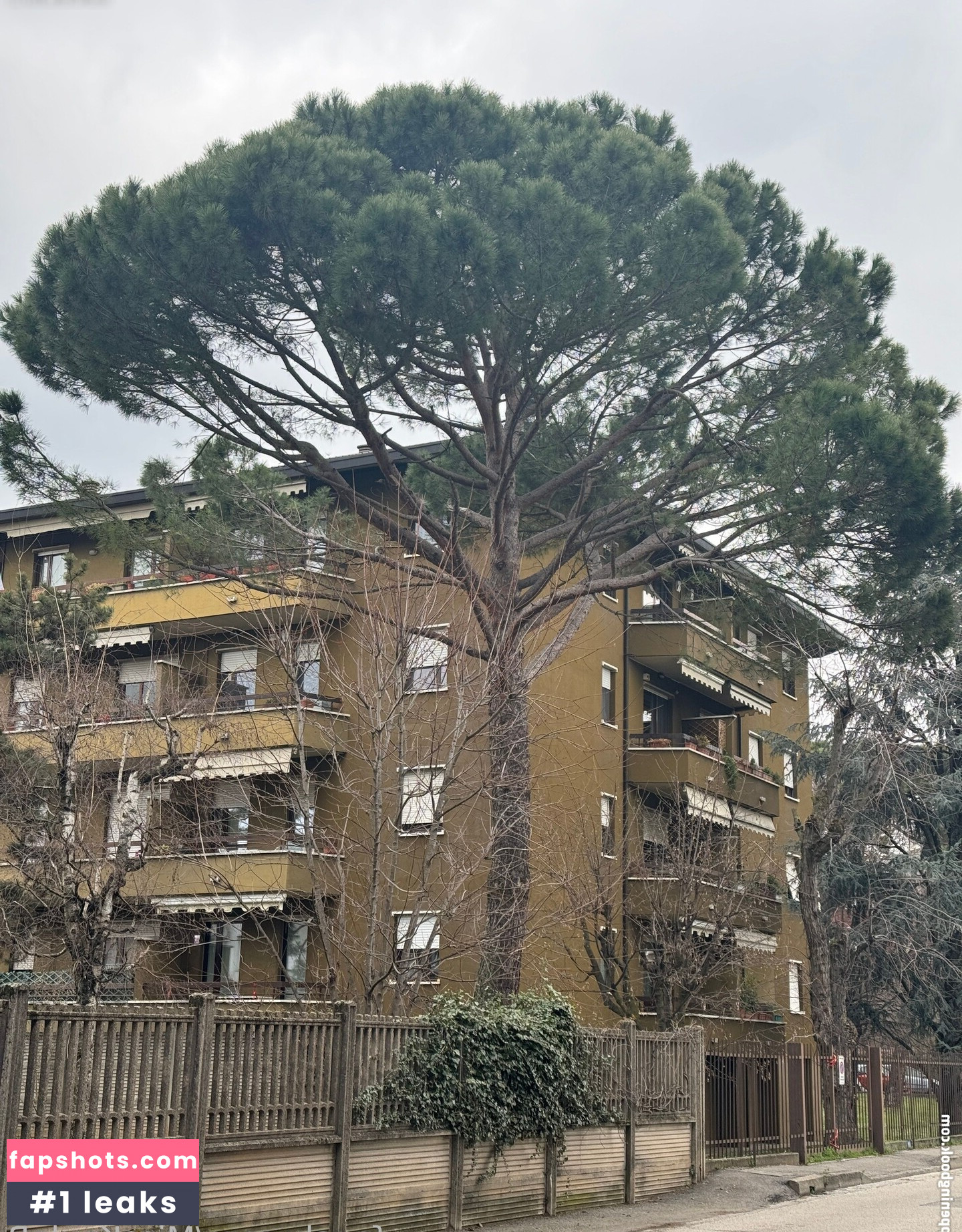 MissKaylaB gallery photo #36