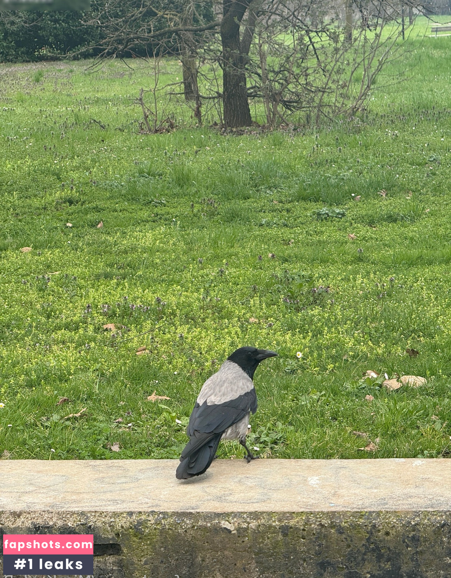 MissKaylaB gallery photo #42