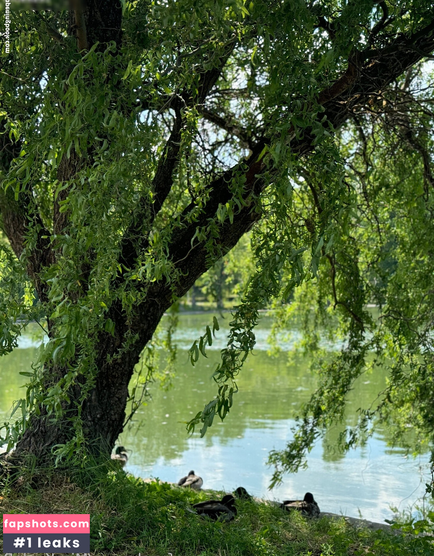 MissKaylaB gallery photo #80