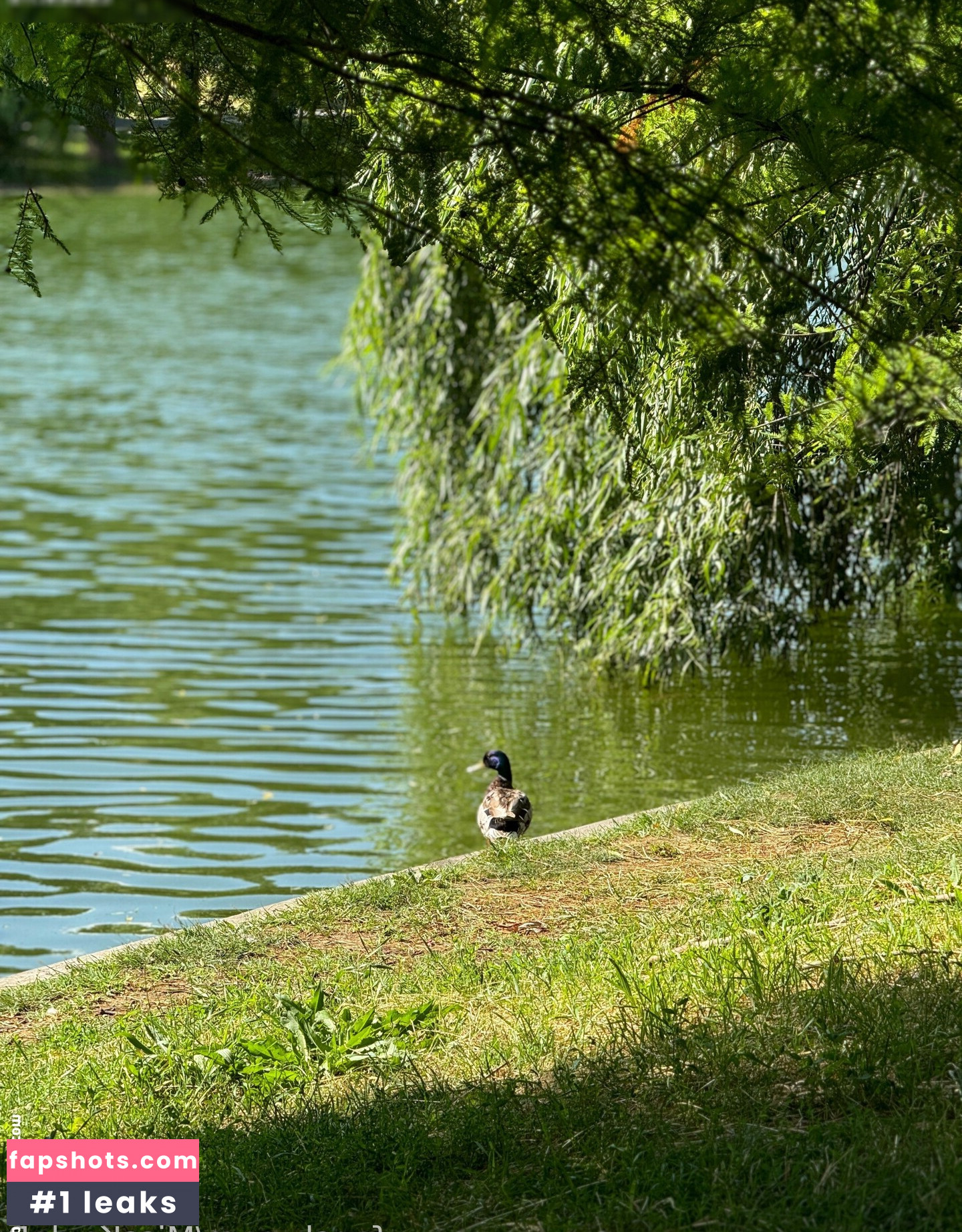 MissKaylaB gallery photo #81