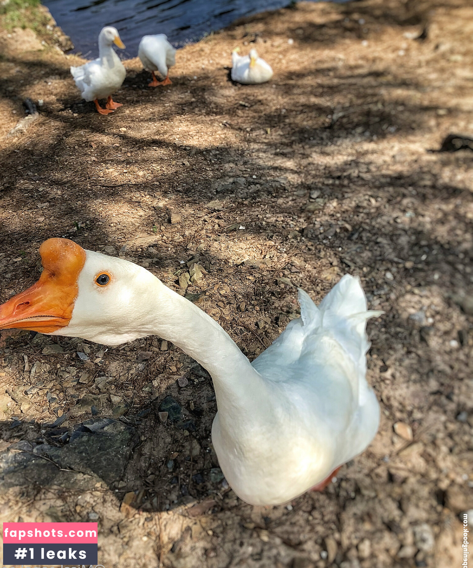 missleanalee gallery photo #36