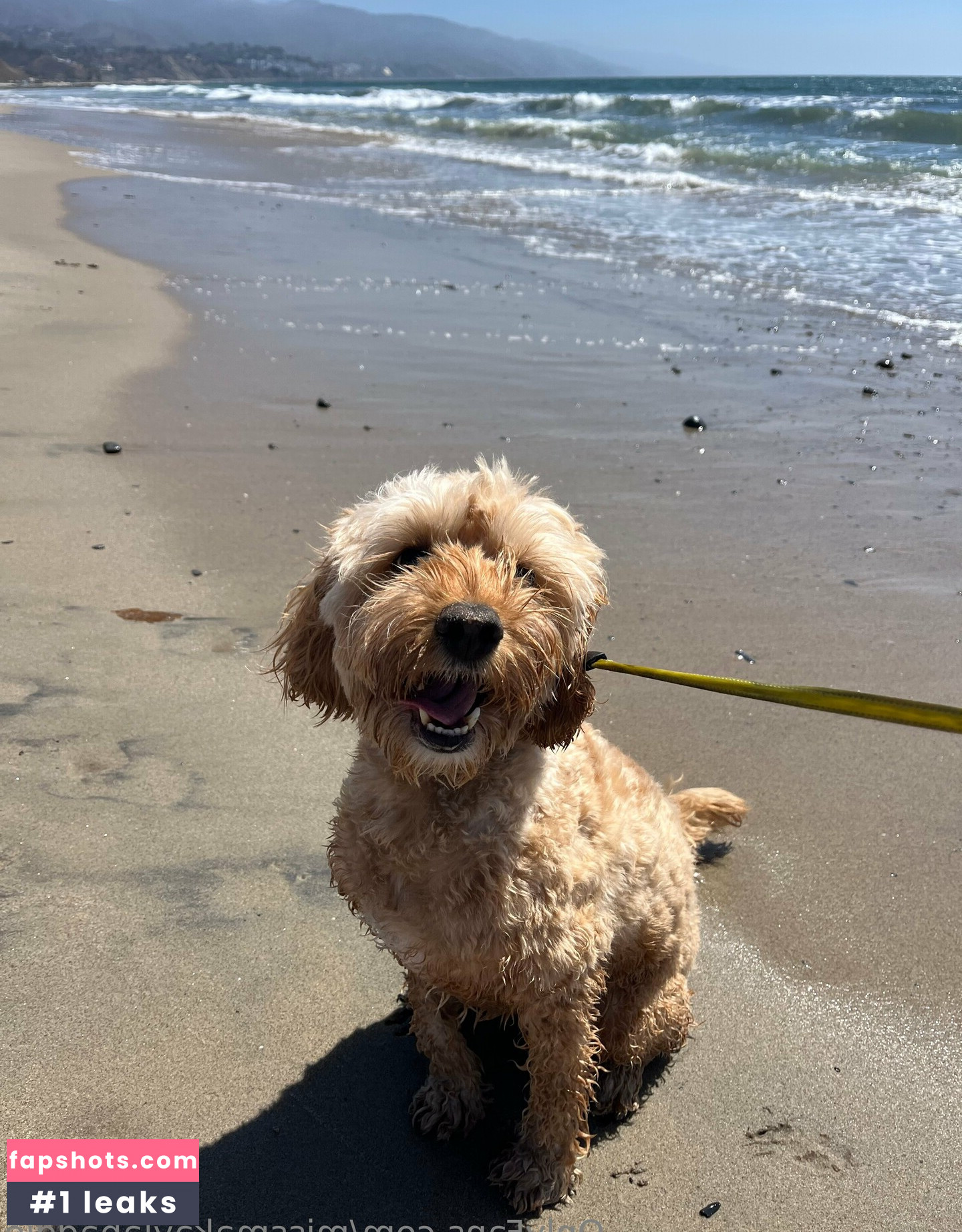 missmakaylabaddie gallery photo #20