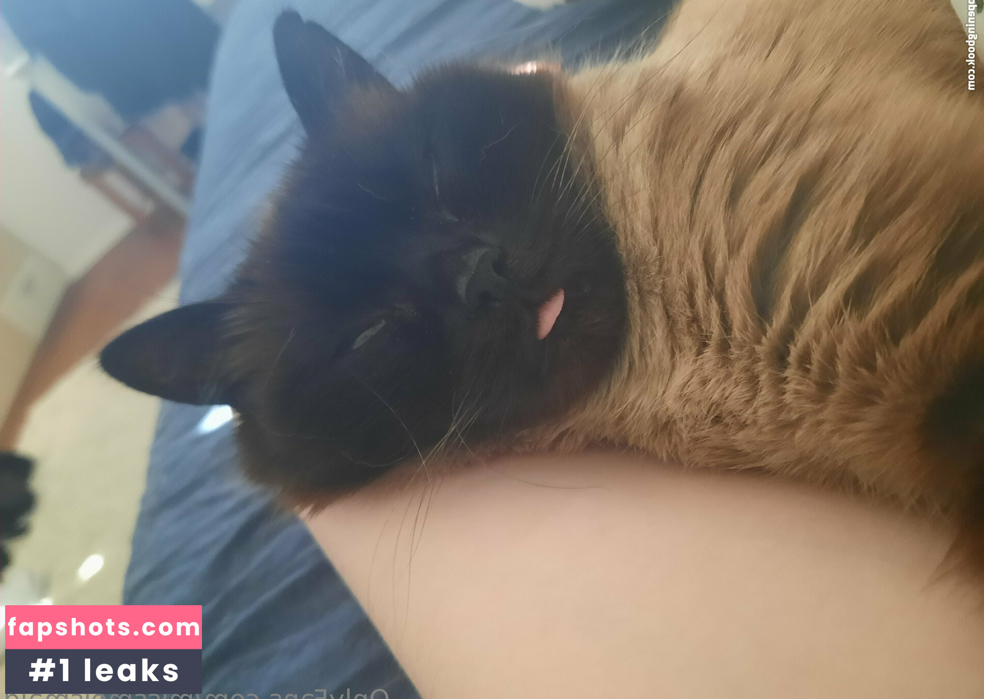 missmeismaid Nahé úniky fotek pouze od fanoušků #30 - Fapshots