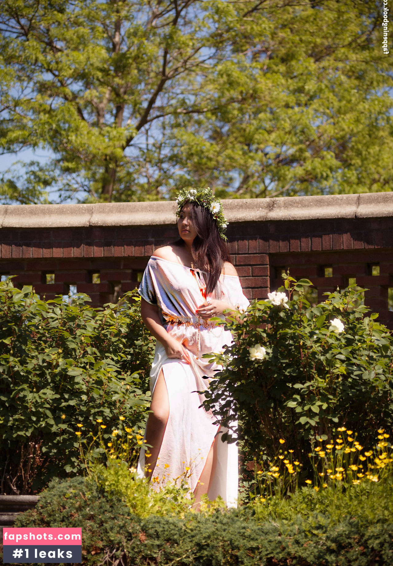 Mistletoad gallery photo #14