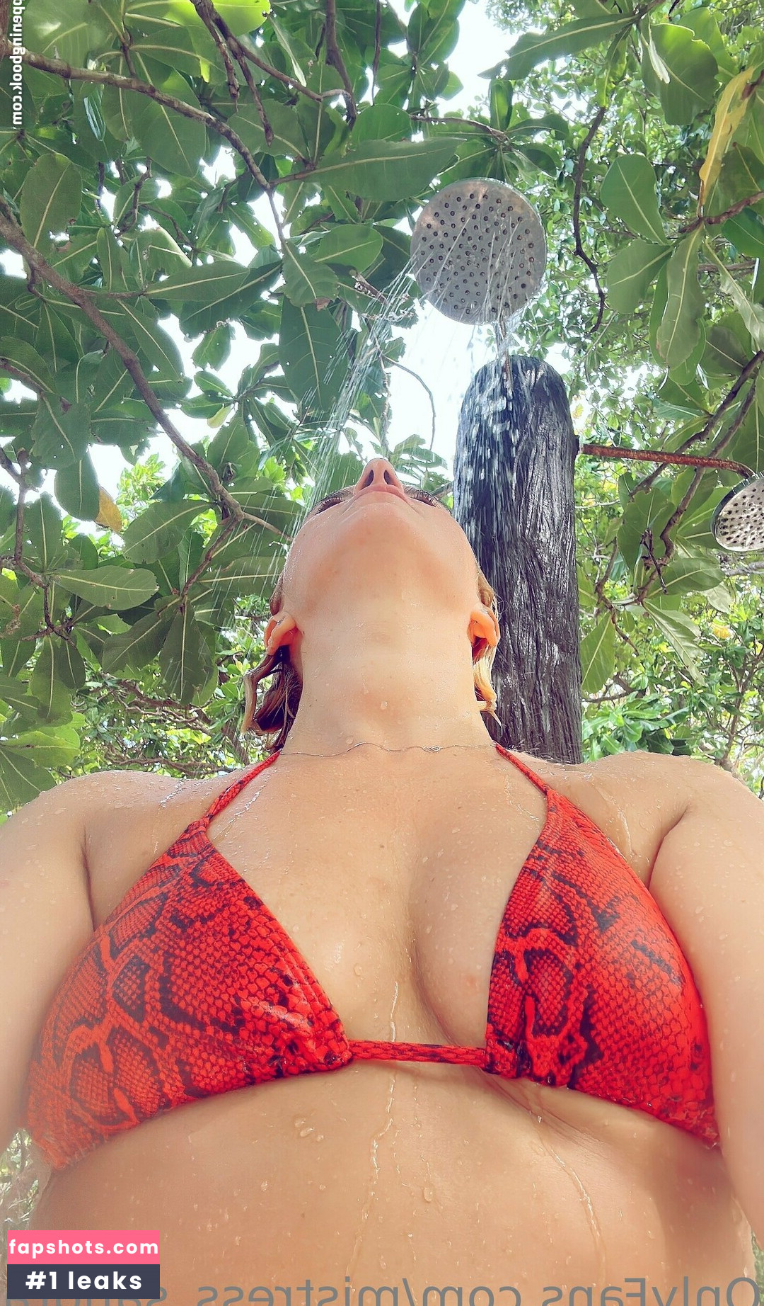 mistress_sandra gallery photo #34