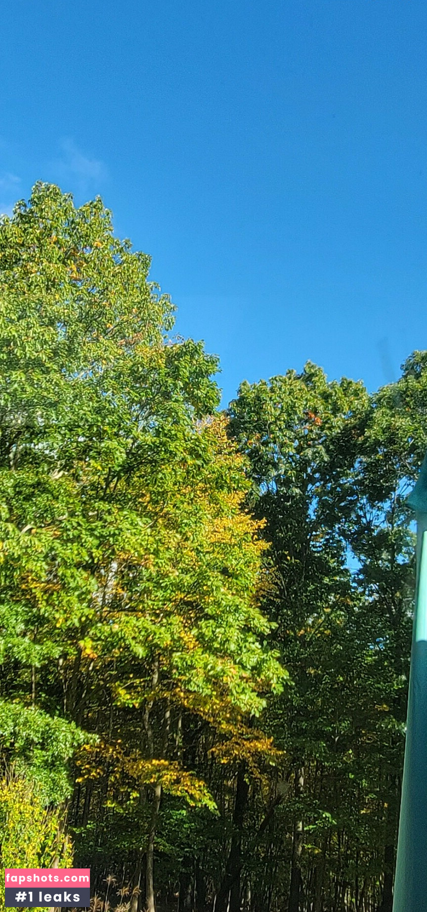 mistresssarahblake gallery photo #29