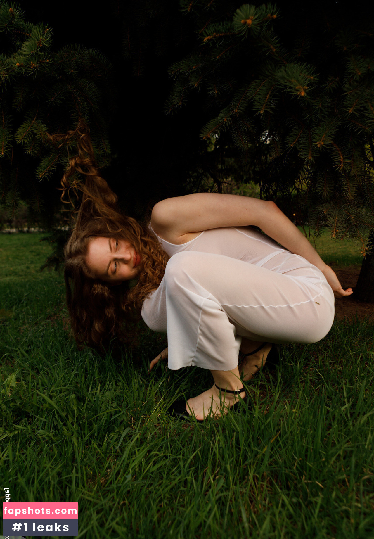 Mitropoliya gallery photo #30