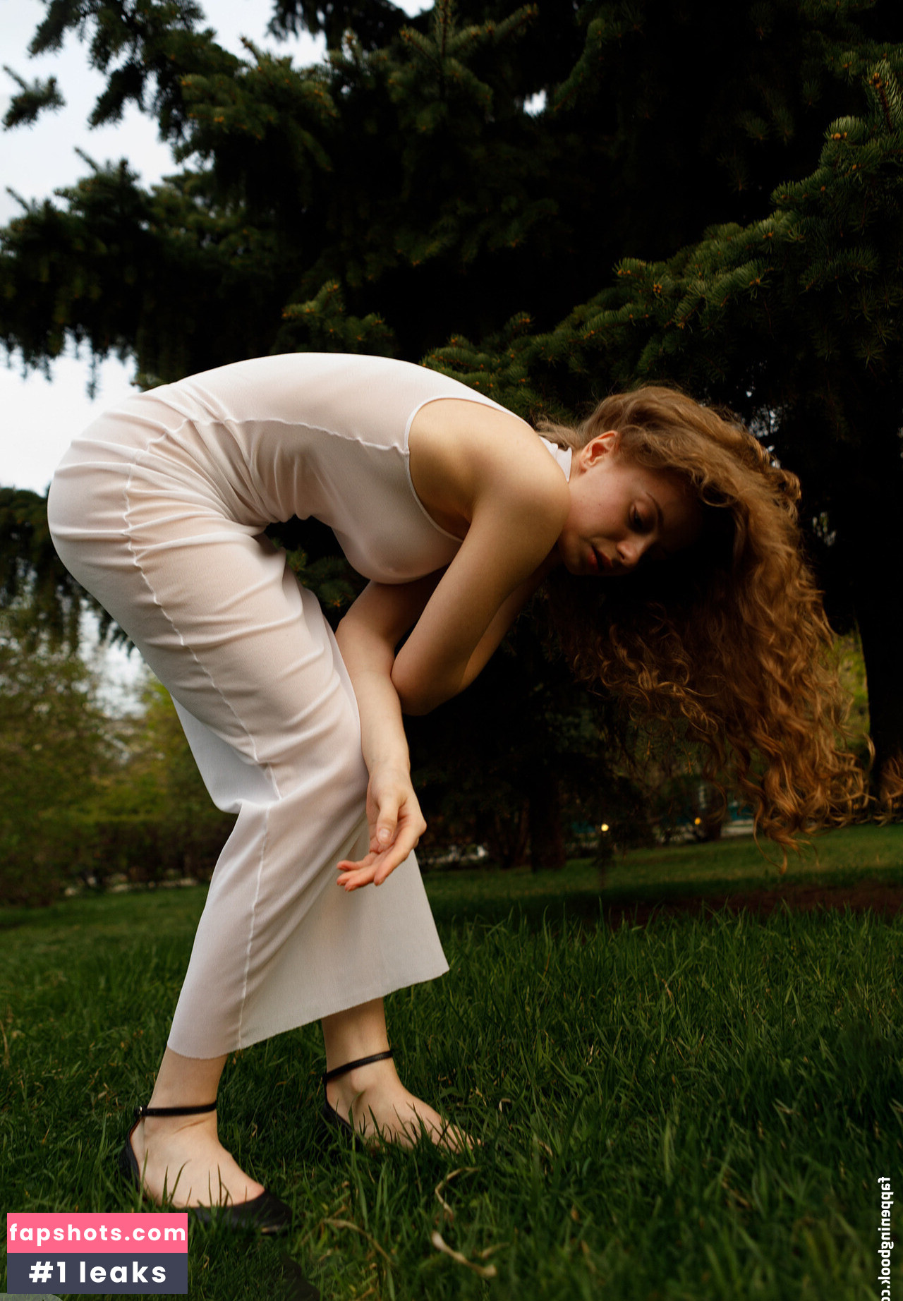 Mitropoliya gallery photo #31