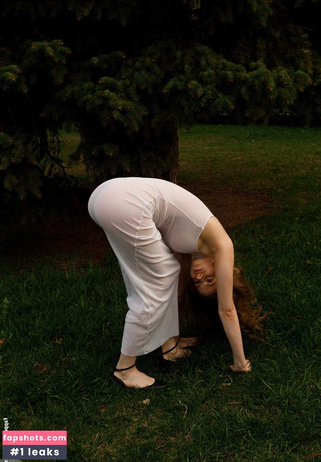 Mitropoliya gallery photo #32