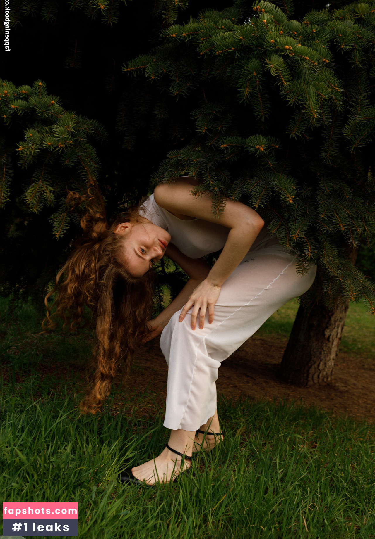 Mitropoliya gallery photo #34