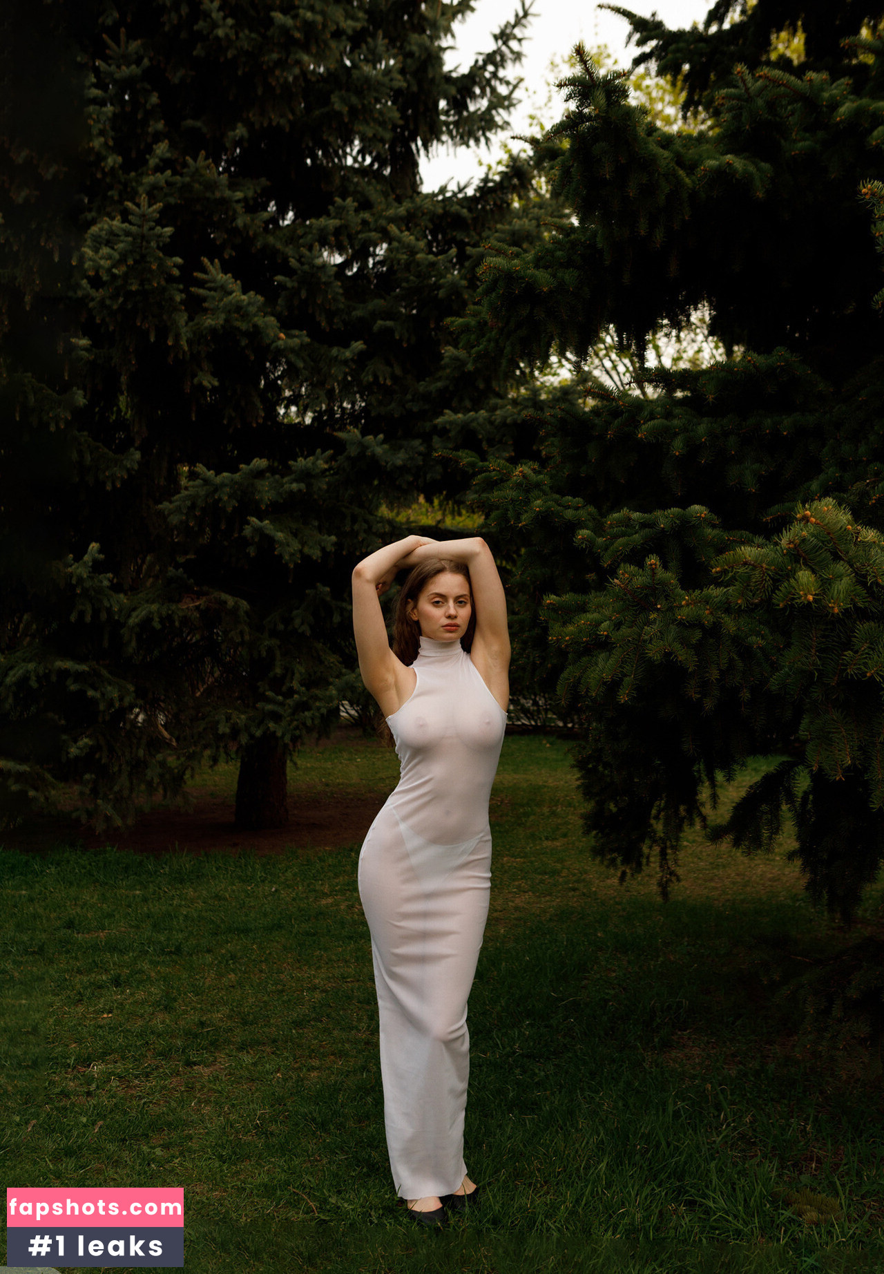 Mitropoliya gallery photo #37