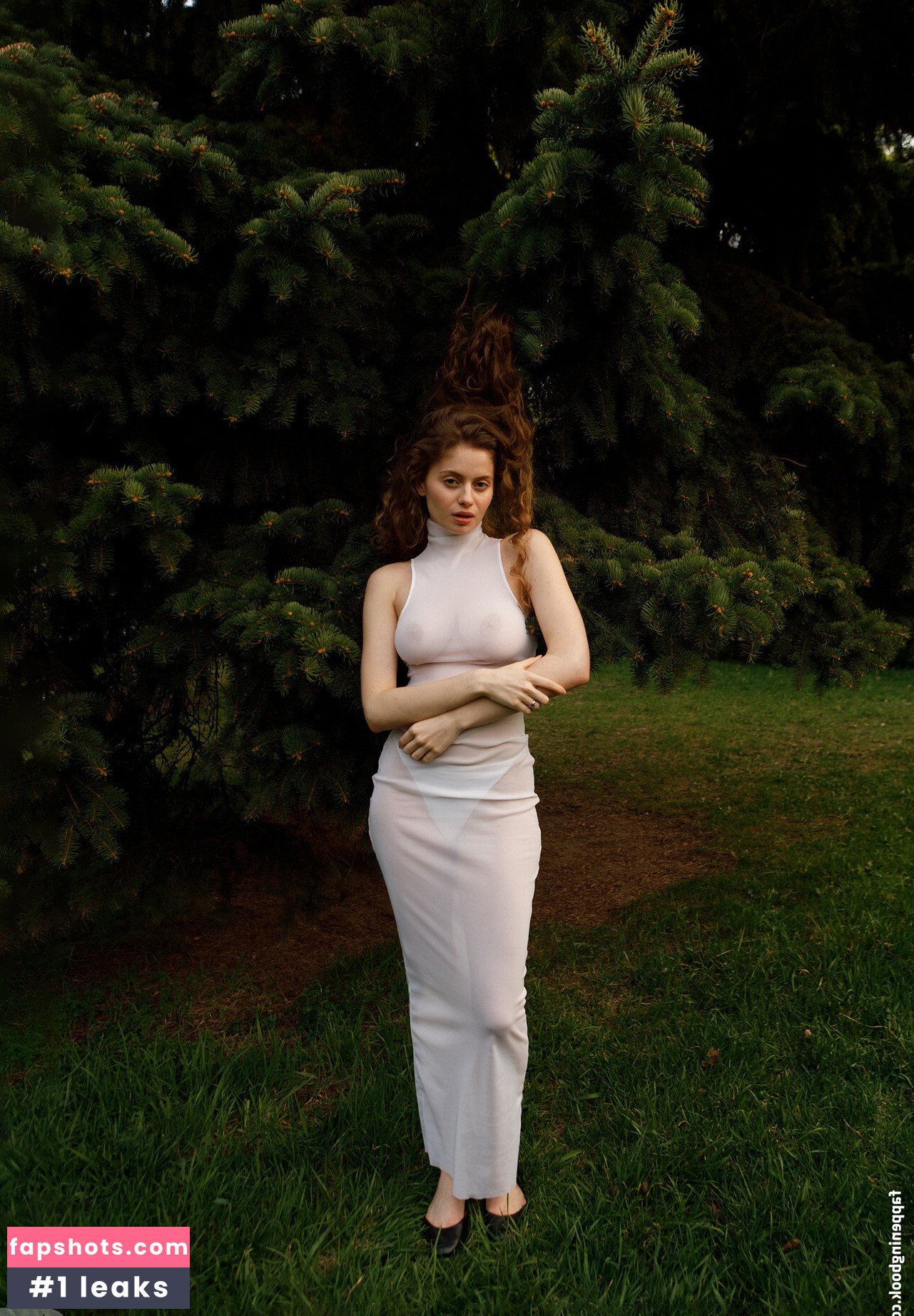 Mitropoliya gallery photo #38