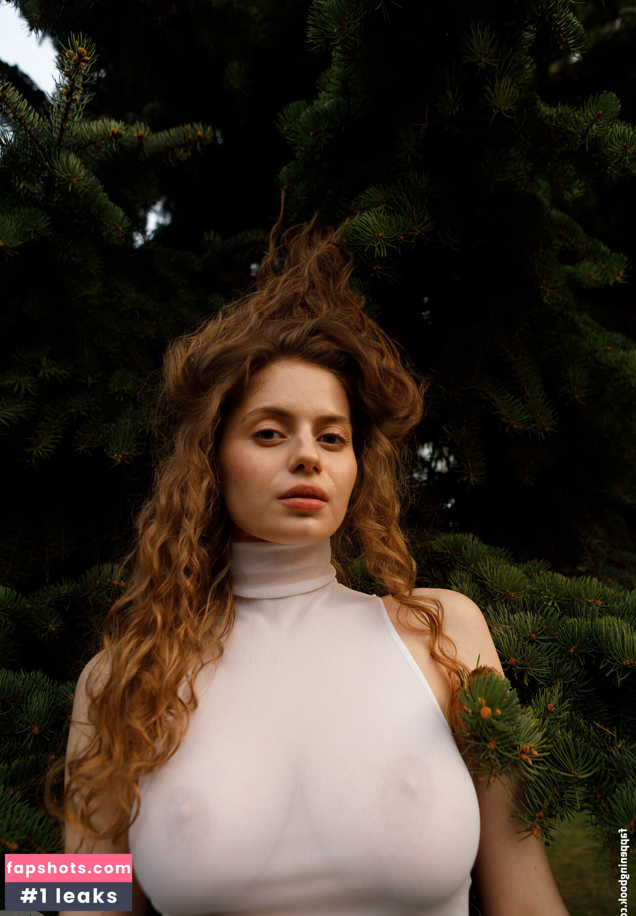 Mitropoliya gallery photo #42