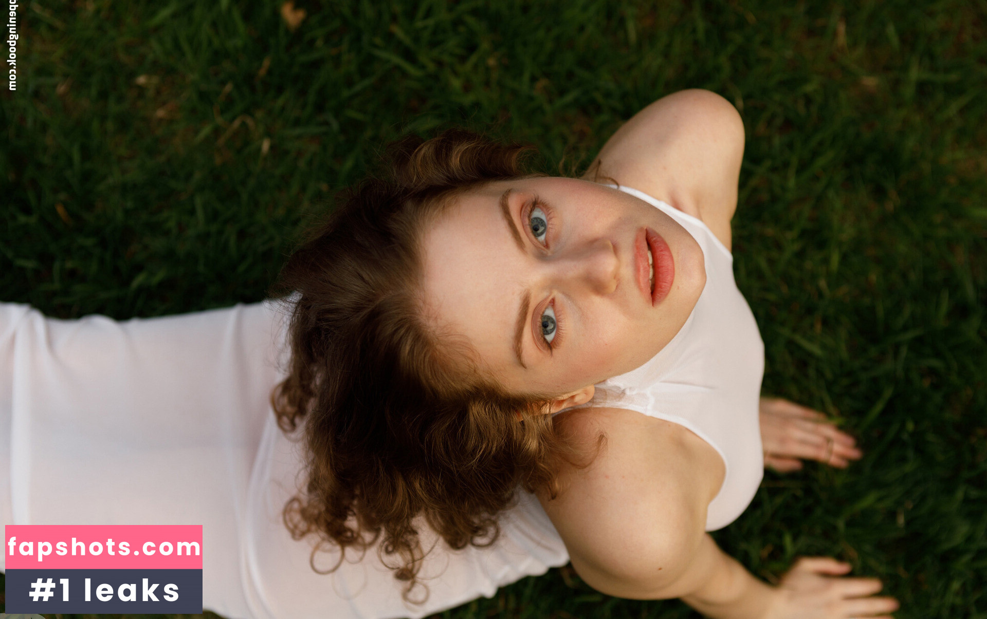 Mitropoliya gallery photo #43