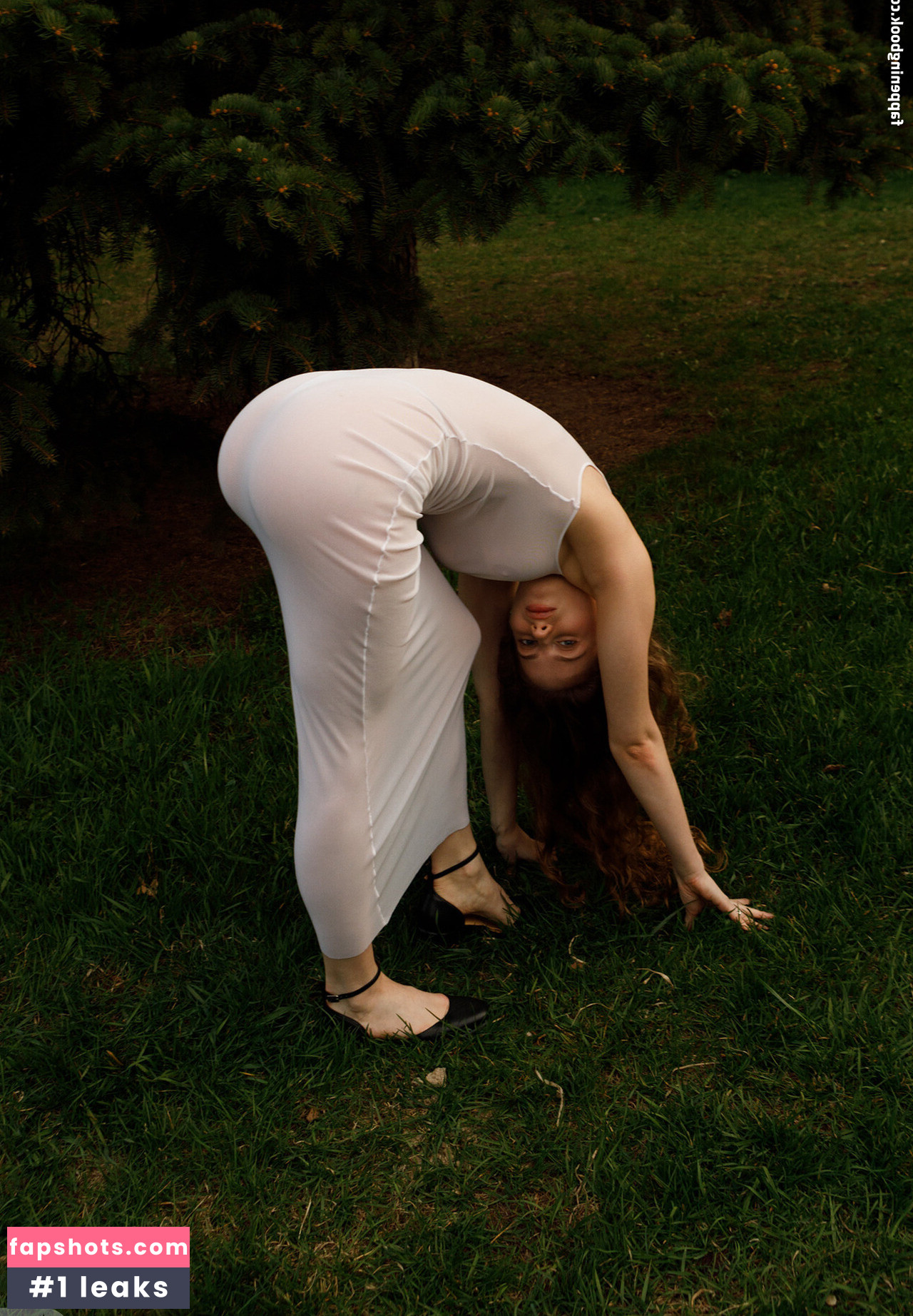 Mitropoliya gallery photo #44