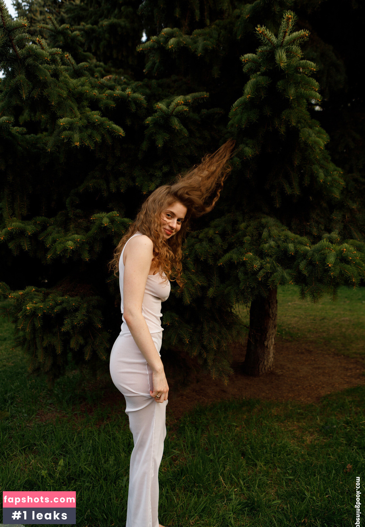 Mitropoliya gallery photo #46