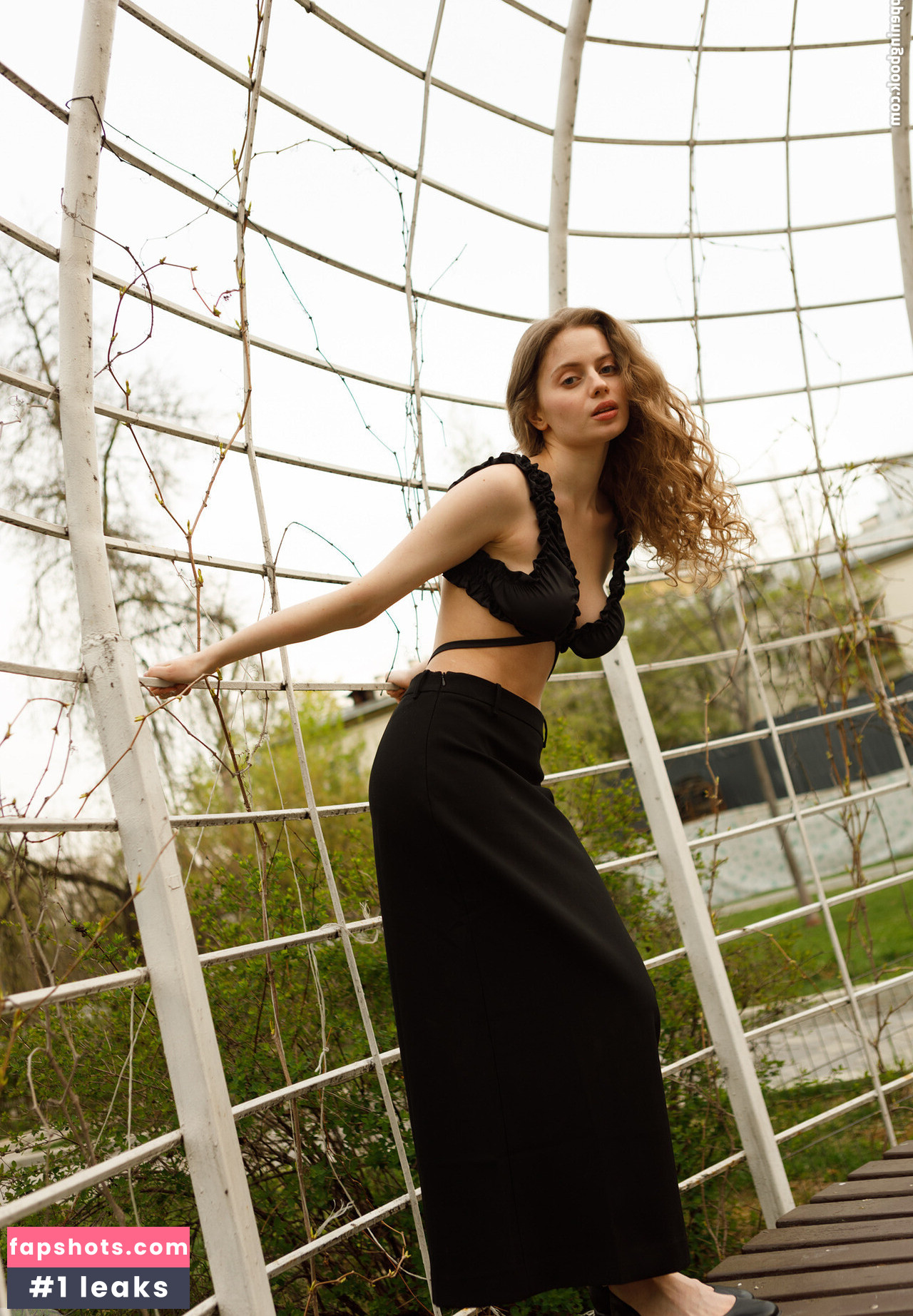 Mitropoliya gallery photo #94