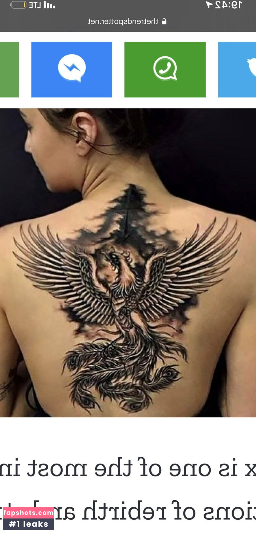 mncookies gallery photo #25