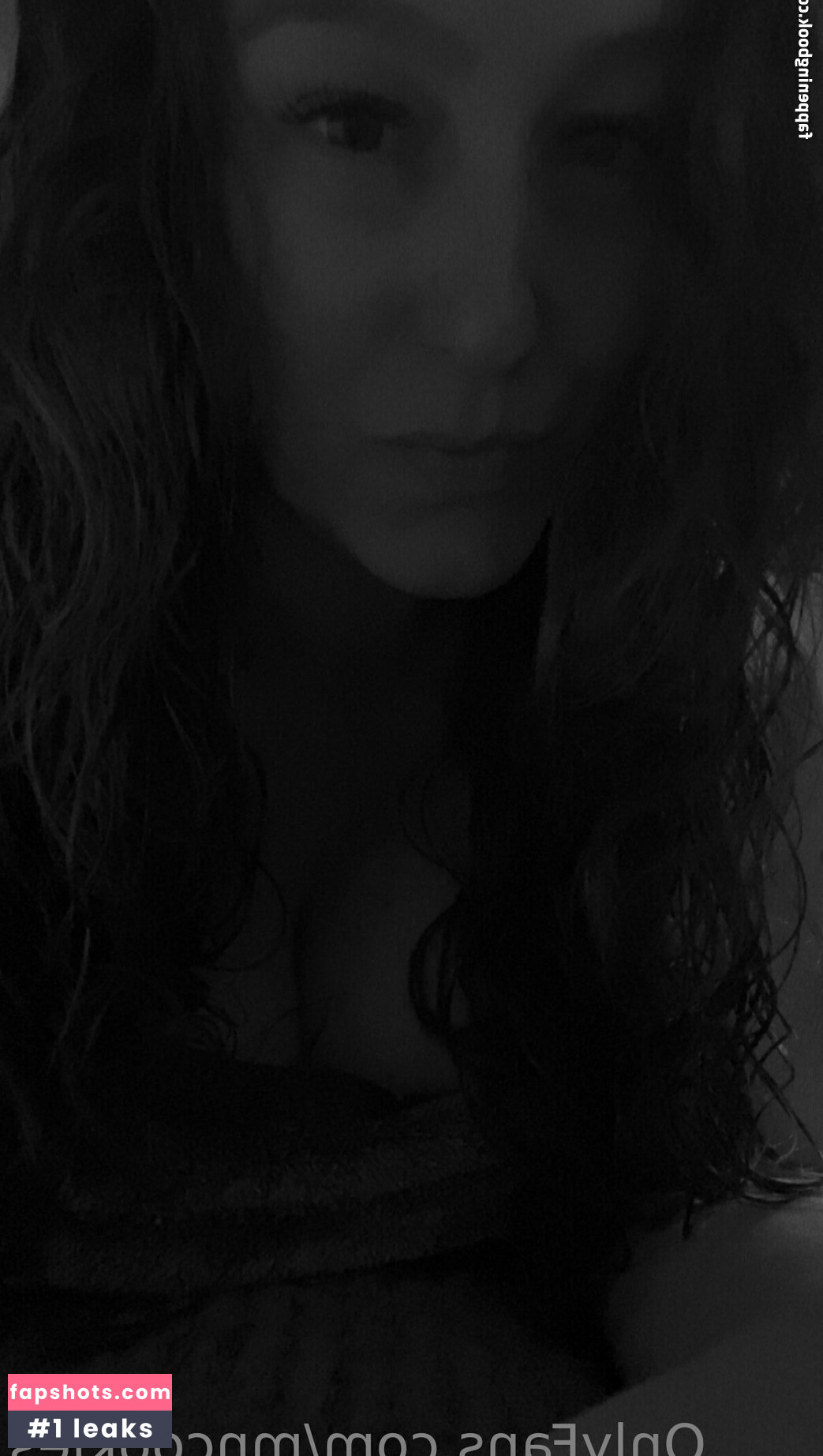 mncookies gallery photo #8