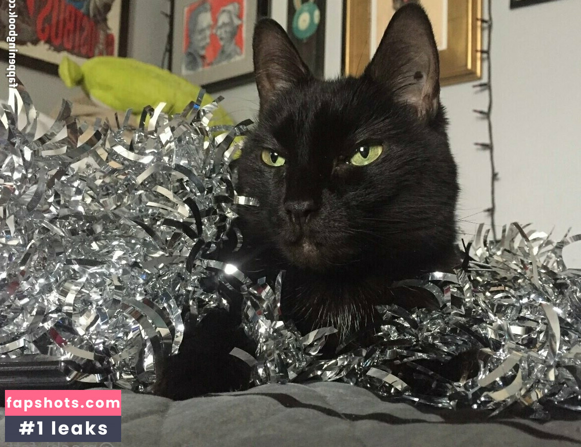 mochi_fett gallery photo #17