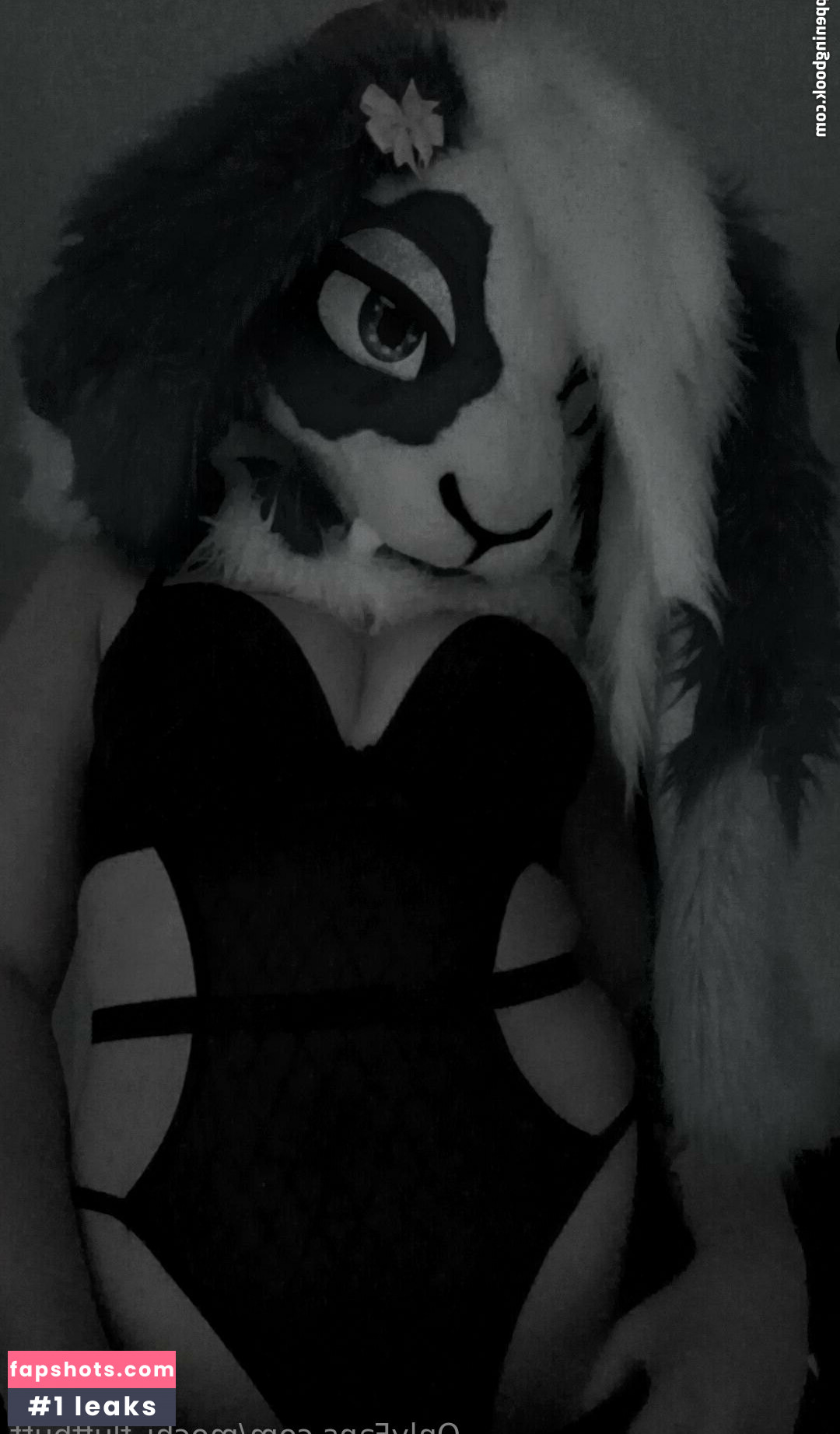 mochi_fluffbutt Nahé úniky fotek pouze od fanoušků #16 - Fapshots