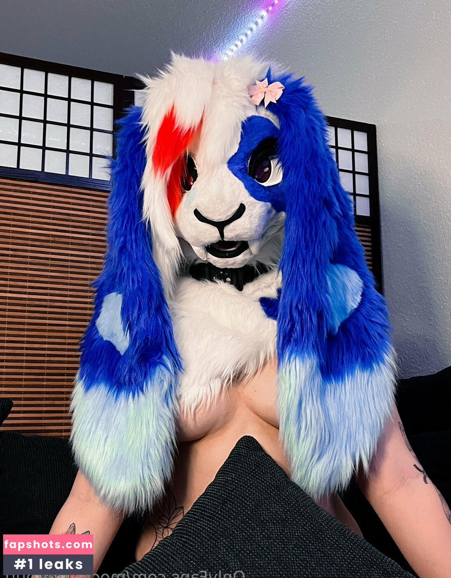 mochi_fluffbutt gallery photo #19