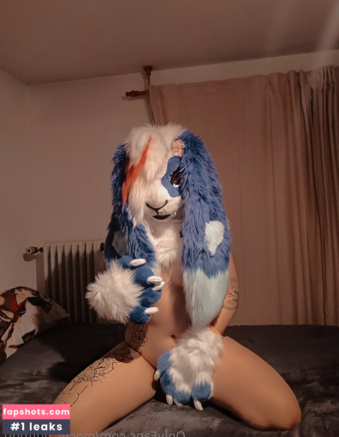 mochi_fluffbutt gallery photo #21